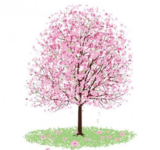 We're Still Planting Trees...