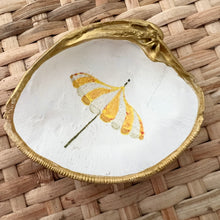 Parasol Clamshells