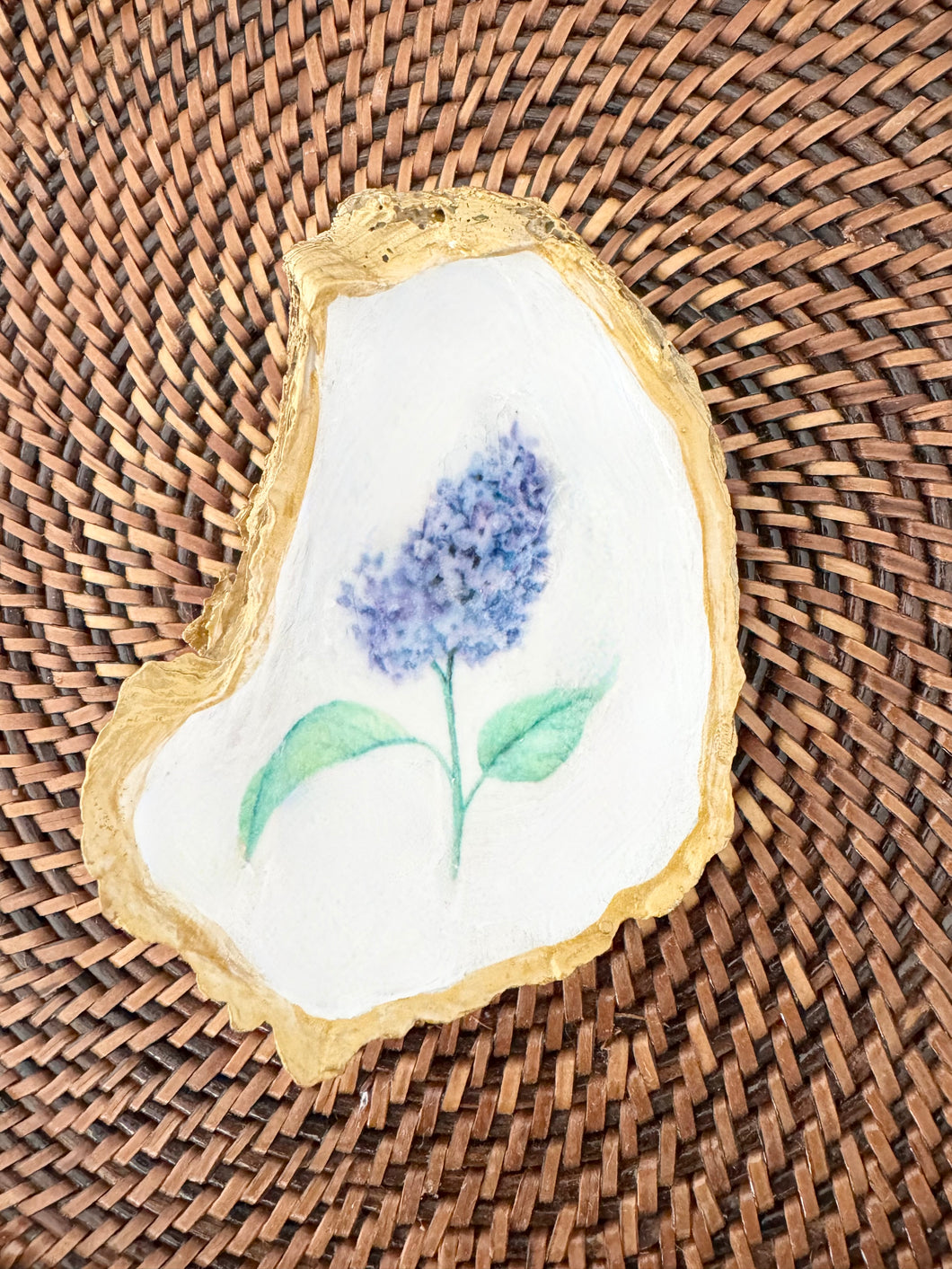 Lilac Oyster