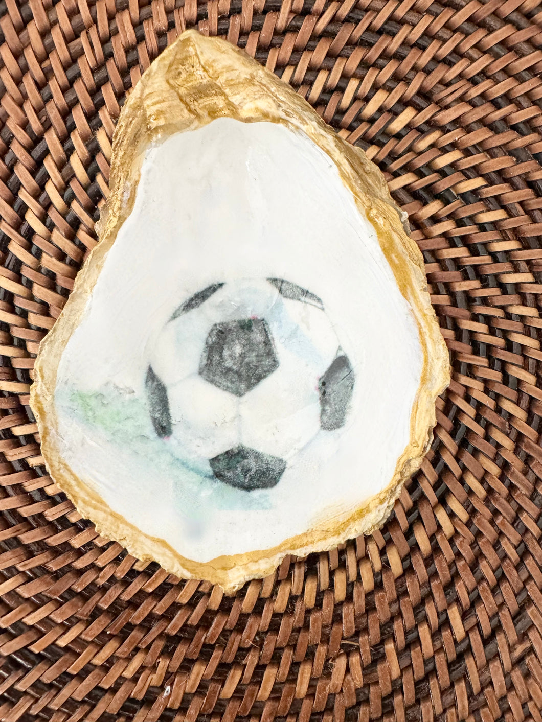 Soccer Ball Oyster
