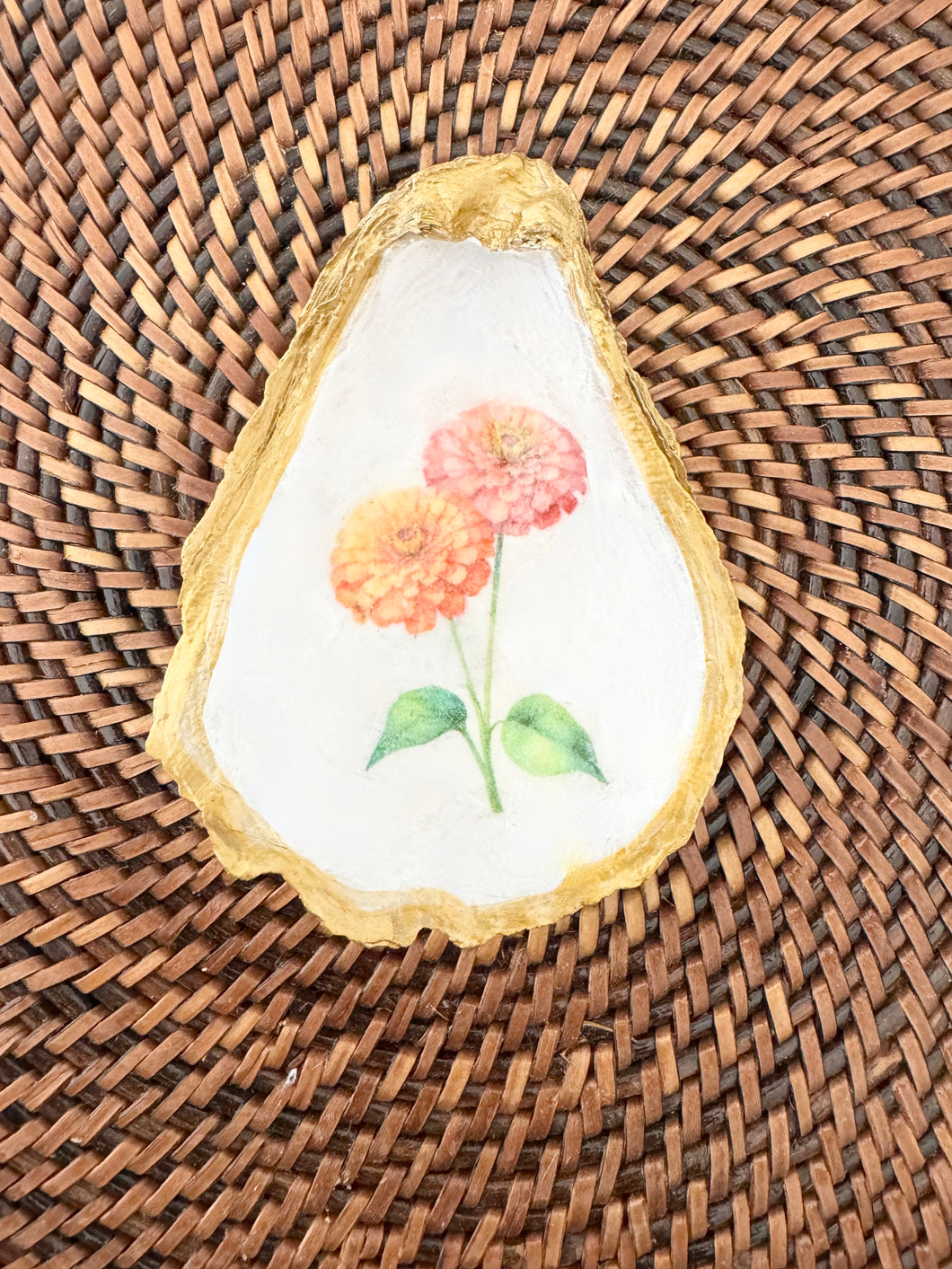 Zinnia Oyster