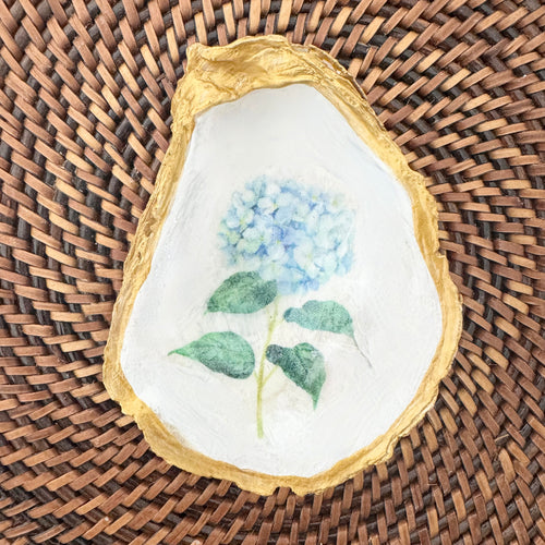 Blue Hydrangea Oyster