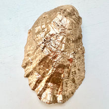 Plaid Oyster