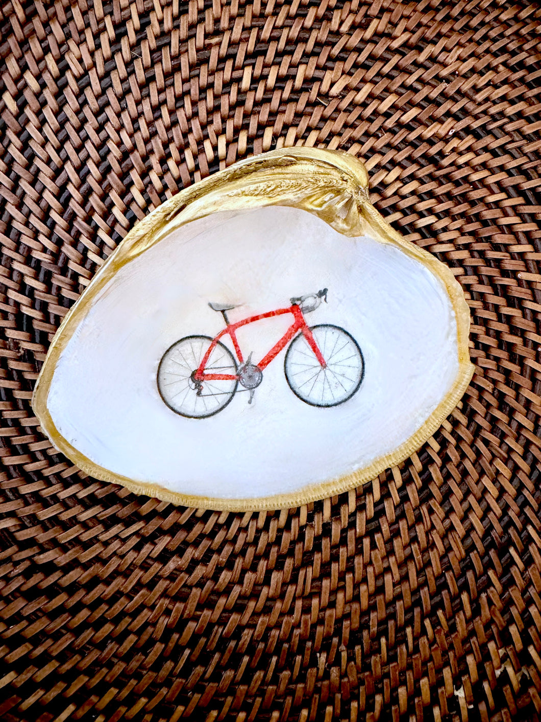 Bicycle Shell