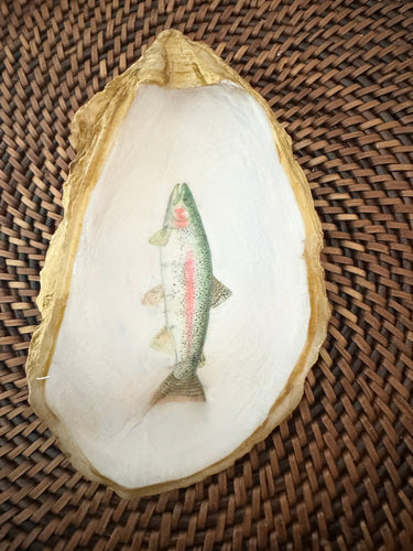 Rainbow Trout Oyster