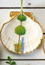 Topiary Large Scallop Ornaments