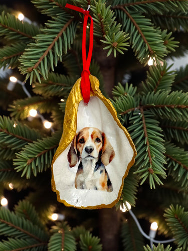 Beagle Oyster Ornament
