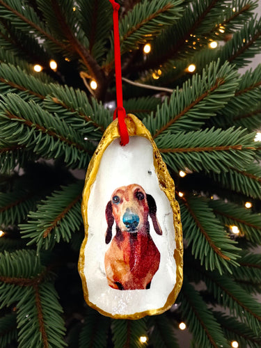 Dachshund Portrait Oyster Ornament