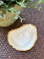 Pearly Oyster