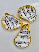 Musical Notes Oyster
